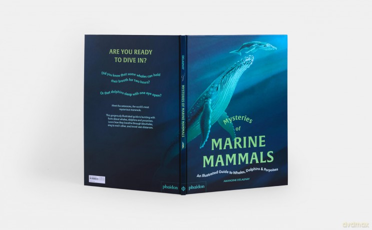 Mysteries of Marine Mammals: An Illustrated Guide to Whales, Dolphins, and Porpoises - Amandine Delaunay [KSIĄŻKA]