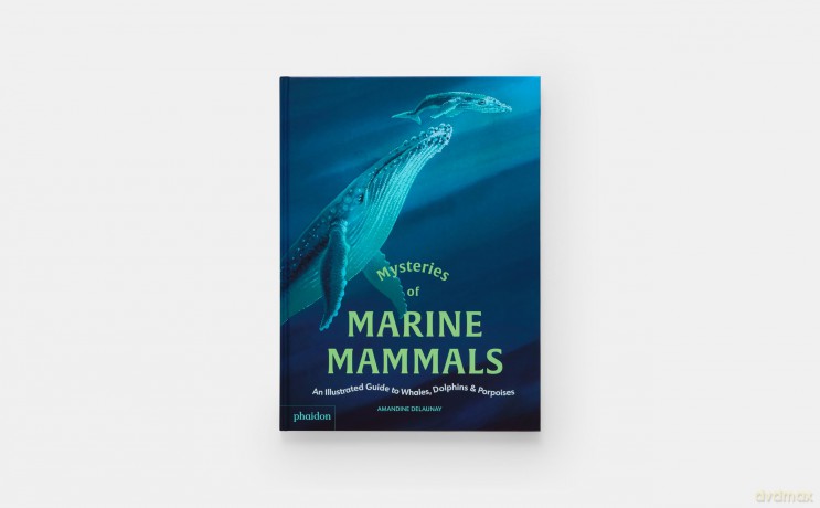 Mysteries of Marine Mammals: An Illustrated Guide to Whales, Dolphins, and Porpoises - Amandine Delaunay [KSIĄŻKA]
