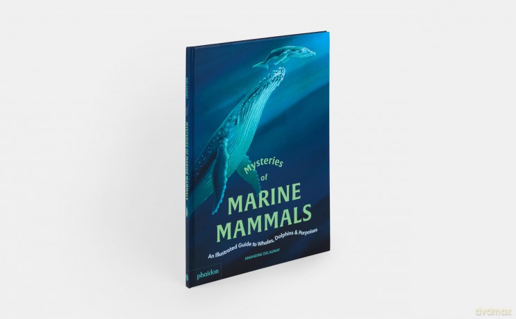 Mysteries of Marine Mammals: An Illustrated Guide to Whales, Dolphins, and Porpoises - Amandine Delaunay [KSIĄŻKA]