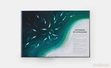 Mysteries of Marine Mammals: An Illustrated Guide to Whales, Dolphins, and Porpoises - Amandine Delaunay [KSIĄŻKA]