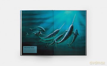 Mysteries of Marine Mammals: An Illustrated Guide to Whales, Dolphins, and Porpoises - Amandine Delaunay [KSIĄŻKA]