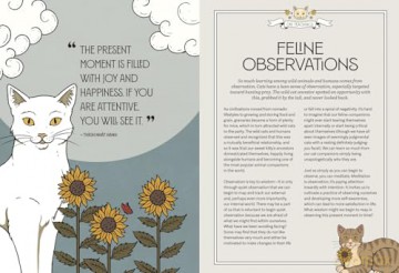 Mystic Kitty: A Cat's Guide to Meditation - Valerie Oula [KSIĄŻKA]
