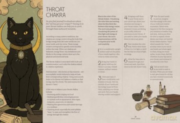 Mystic Kitty: A Cat's Guide to Meditation - Valerie Oula [KSIĄŻKA]