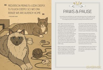 Mystic Kitty: A Cat's Guide to Meditation - Valerie Oula [KSIĄŻKA]