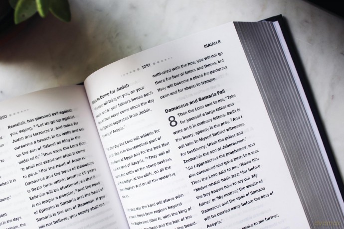 NASB, Clear Focus Bible, Hardcover, Charcoal/Gold: Read more of the Bible with better focus - Zondervan [KSIĄŻKA]