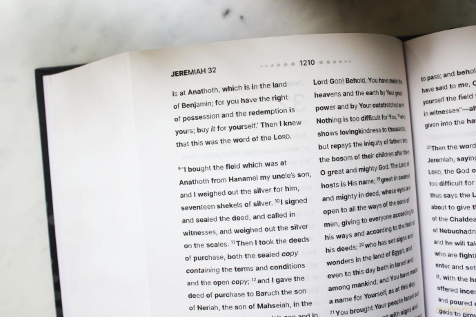 NASB, Clear Focus Bible, Hardcover, Charcoal/Gold: Read more of the Bible with better focus - Zondervan [KSIĄŻKA]
