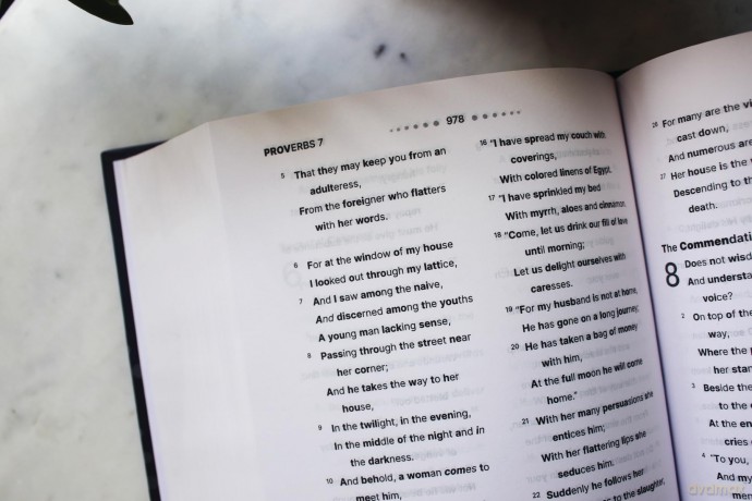 NASB, Clear Focus Bible, Hardcover, Charcoal/Gold: Read more of the Bible with better focus - Zondervan [KSIĄŻKA]