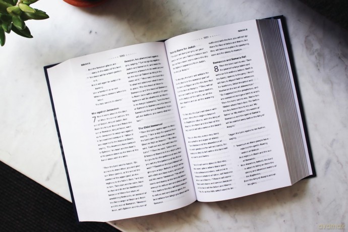 NASB, Clear Focus Bible, Hardcover, Charcoal/Gold: Read more of the Bible with better focus - Zondervan [KSIĄŻKA]