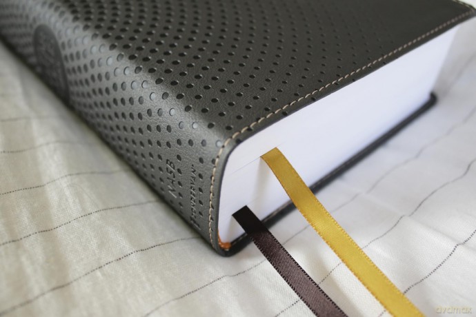 NASB, Clear Focus Bible, Leathersoft, Charcoal Brown: Read more of the Bible with better focus - Zondervan [KSIĄŻKA]