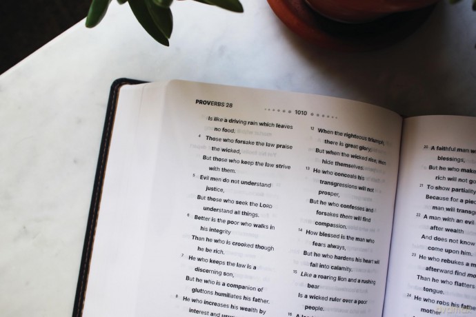 NASB, Clear Focus Bible, Leathersoft, Charcoal Brown: Read more of the Bible with better focus - Zondervan [KSIĄŻKA]