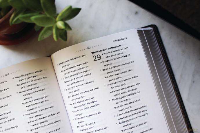 NASB, Clear Focus Bible, Leathersoft, Charcoal Brown: Read more of the Bible with better focus - Zondervan [KSIĄŻKA]