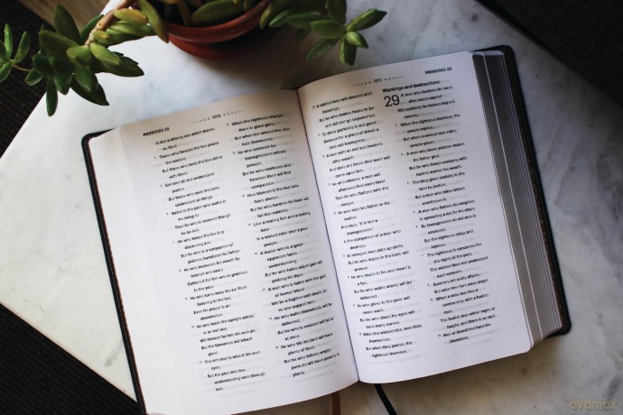 NASB, Clear Focus Bible, Leathersoft, Charcoal Brown: Read more of the Bible with better focus - Zondervan [KSIĄŻKA]