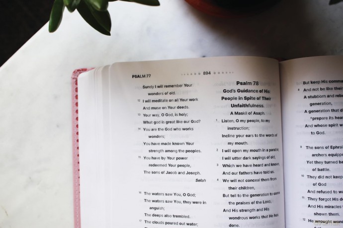 NASB, Clear Focus Bible, Leathersoft, Pink: Read more of the Bible with better focus - Zondervan [KSIĄŻKA]