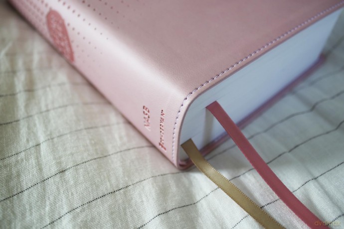 NASB, Clear Focus Bible, Leathersoft, Pink: Read more of the Bible with better focus - Zondervan [KSIĄŻKA]