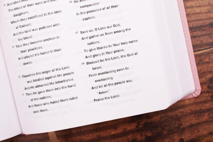 NASB, Clear Focus Bible, Leathersoft, Pink: Read more of the Bible with better focus - Zondervan [KSIĄŻKA]