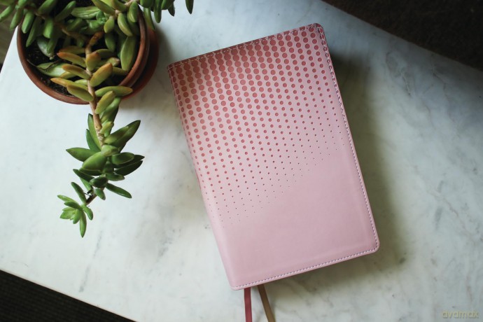 NASB, Clear Focus Bible, Leathersoft, Pink: Read more of the Bible with better focus - Zondervan [KSIĄŻKA]