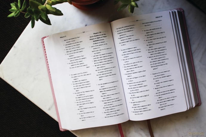 NASB, Clear Focus Bible, Leathersoft, Pink: Read more of the Bible with better focus - Zondervan [KSIĄŻKA]