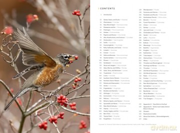 National Geographic Field Guide to the Birds of the United States and Canada-East, 2nd Edition - Ted Floyd [KSIĄŻKA]