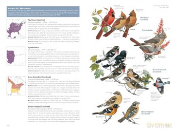 National Geographic Field Guide to the Birds of the United States and Canada-East, 2nd Edition - Ted Floyd [KSIĄŻKA]