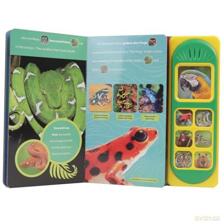 National Geographic Kids: Amazing Animals! Sound Book - PI Kids [KSIĄŻKA]