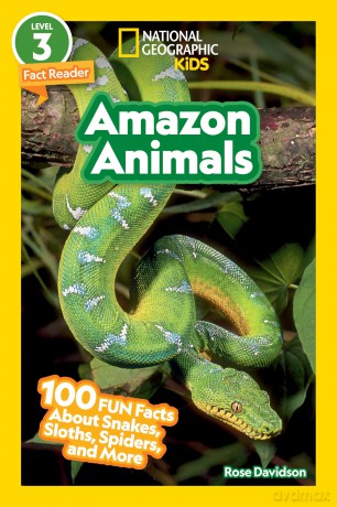 National Geographic Readers: Amazon Animals - Rose Davidson [KSIĄŻKA]