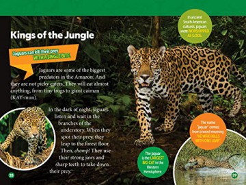 National Geographic Readers: Amazon Animals - Rose Davidson [KSIĄŻKA]
