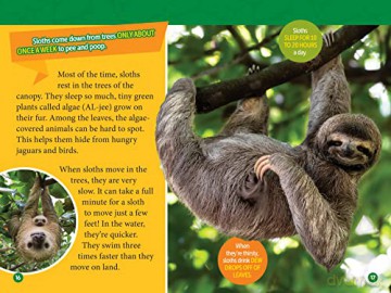 National Geographic Readers: Amazon Animals - Rose Davidson [KSIĄŻKA]