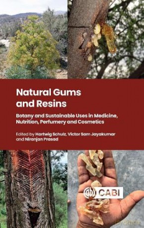 Natural Gums and Resins: Botany and Sustainable Uses in Medicine, Nutrition, Perfumery and Cosmetics - Professor Hartwig Schulz [KSIĄŻKA]