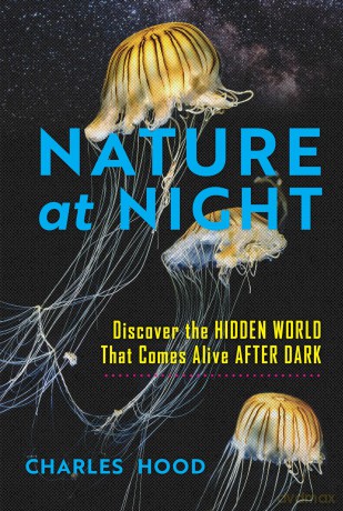 Nature at Night: Discover the Hidden World That Comes Alive after Dark - Charles Hood [KSIĄŻKA]