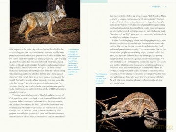 Nature at Night: Discover the Hidden World That Comes Alive after Dark - Charles Hood [KSIĄŻKA]