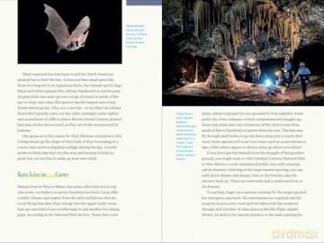 Nature at Night: Discover the Hidden World That Comes Alive after Dark - Charles Hood [KSIĄŻKA]