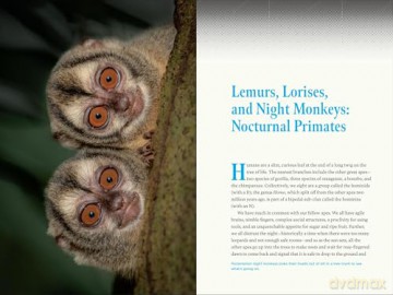 Nature at Night: Discover the Hidden World That Comes Alive after Dark - Charles Hood [KSIĄŻKA]