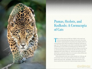 Nature at Night: Discover the Hidden World That Comes Alive after Dark - Charles Hood [KSIĄŻKA]
