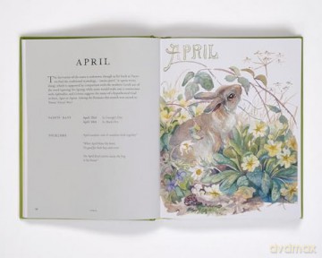 Nature Notes of an Edwardian Lady: A Seasonal Guide from the Edwardian Lady - Edith Holden [KSIĄŻKA]