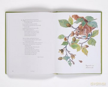 Nature Notes of an Edwardian Lady: A Seasonal Guide from the Edwardian Lady - Edith Holden [KSIĄŻKA]