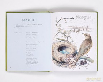Nature Notes of an Edwardian Lady: A Seasonal Guide from the Edwardian Lady - Edith Holden [KSIĄŻKA]