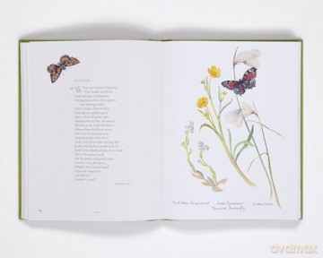 Nature Notes of an Edwardian Lady: A Seasonal Guide from the Edwardian Lady - Edith Holden [KSIĄŻKA]