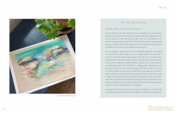 Nature of Color: Your Field Guide for Exploring Color in the Natural World - Kimberly Collins Jermain [KSIĄŻKA]