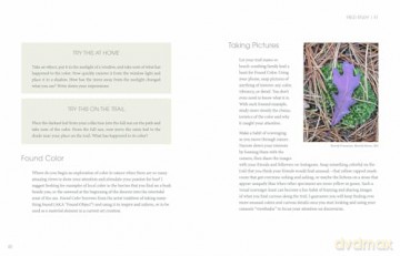 Nature of Color: Your Field Guide for Exploring Color in the Natural World - Kimberly Collins Jermain [KSIĄŻKA]
