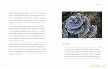 Nature of Color: Your Field Guide for Exploring Color in the Natural World - Kimberly Collins Jermain [KSIĄŻKA]