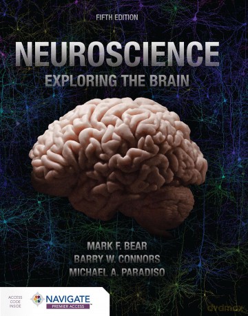 Neuroscience: Exploring the Brain - Mark Bear [KSIĄŻKA]