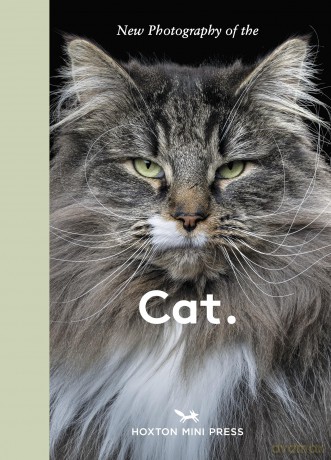 New Photography of the Cat.: The best new photography of cats. - Hoxton Mini Press [KSIĄŻKA]