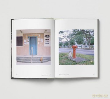 New Photography of the Cat.: The best new photography of cats. - Hoxton Mini Press [KSIĄŻKA]