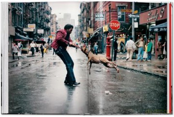 New York. Portrait of a City - Reuel Golden [KSIĄŻKA]