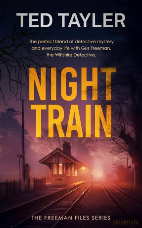 Night Train: A Cold Case Murder Mystery Series: 9 - Ted Tayler [KSIĄŻKA]