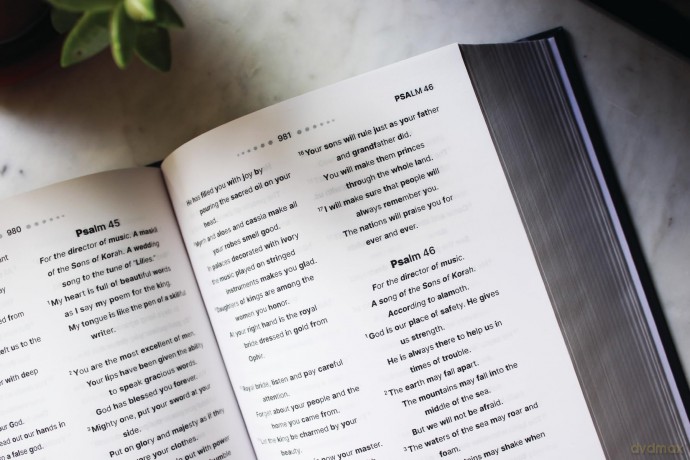 NIrV, Clear Focus Bible, Hardcover, Charcoal/Blue: Read more of the Bible with better focus - Zondervan [KSIĄŻKA]