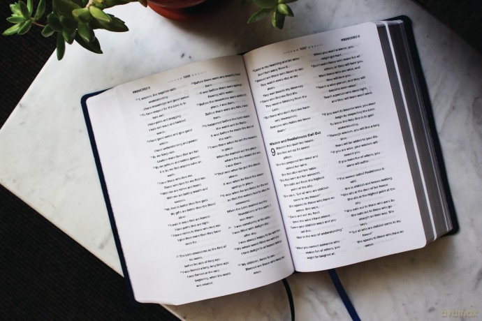 NIrV, Clear Focus Bible, Leathersoft, Navy: Read more of the Bible with better focus - Zondervan [KSIĄŻKA]