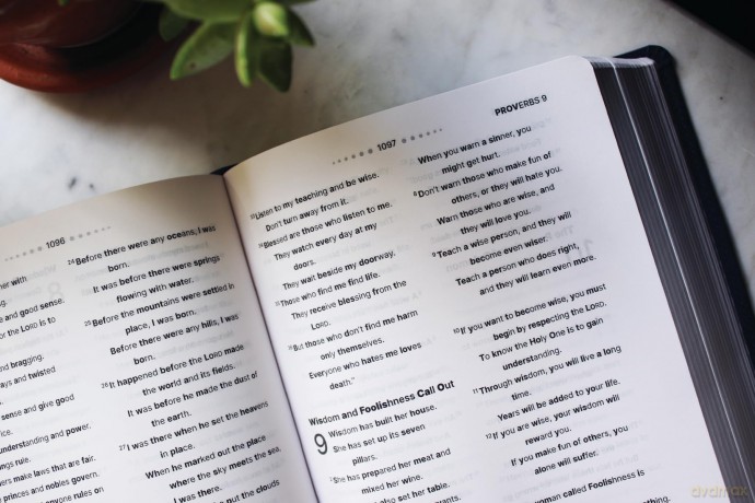 NIrV, Clear Focus Bible, Leathersoft, Navy: Read more of the Bible with better focus - Zondervan [KSIĄŻKA]