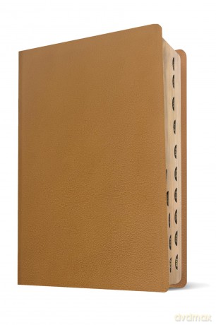 NLT Every Woman s Bible, Filament Enabled - Tyndale House [KSIĄŻKA]