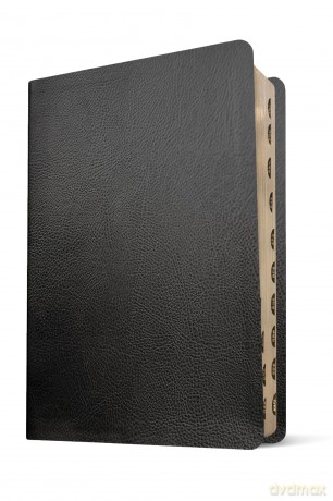 NLT Life Application Study Bible, Third Edition, Personal Size - Tyndale House [KSIĄŻKA]